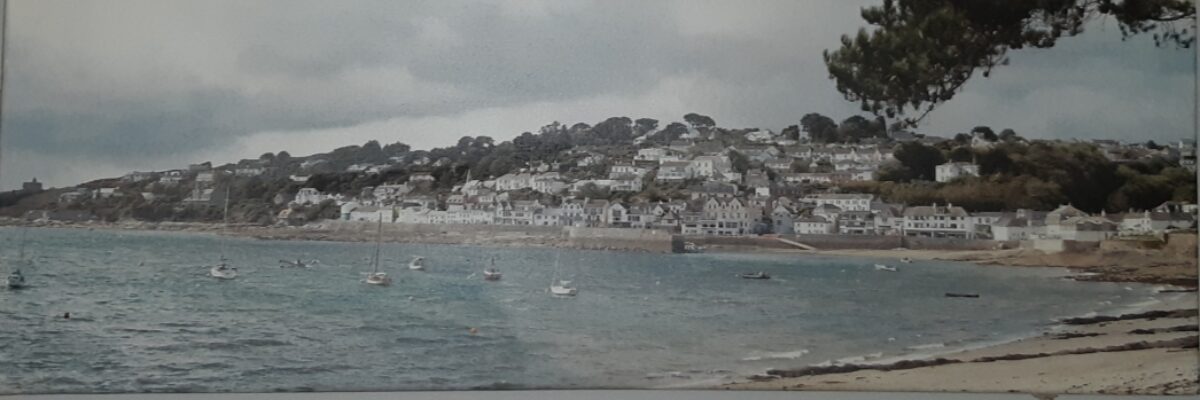 Johnstone Family Movies